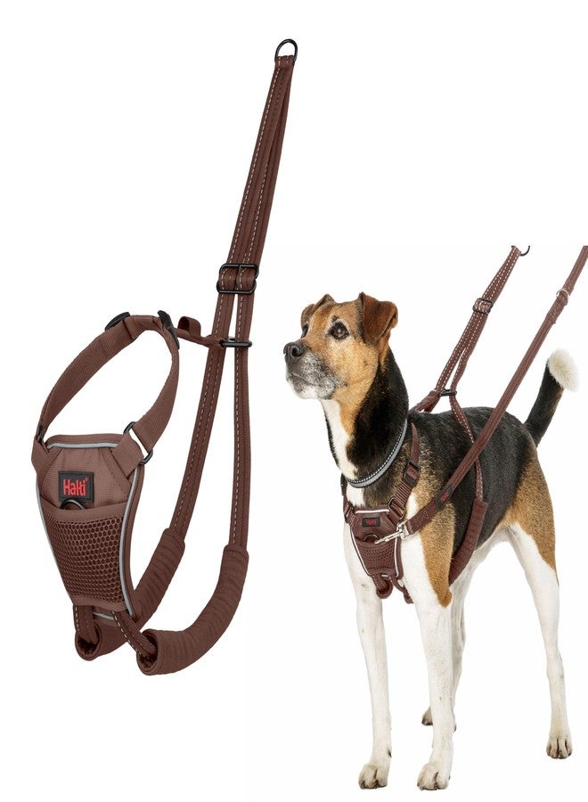 Halti No Pull Harness - Stop Your Dog Pulling on The Leash. Adjustable, Lightweight and Easy to Use. Reflective Dog Training Harness for Toy and Small Dogs (Size XS, Deep Walnut) - Image 1