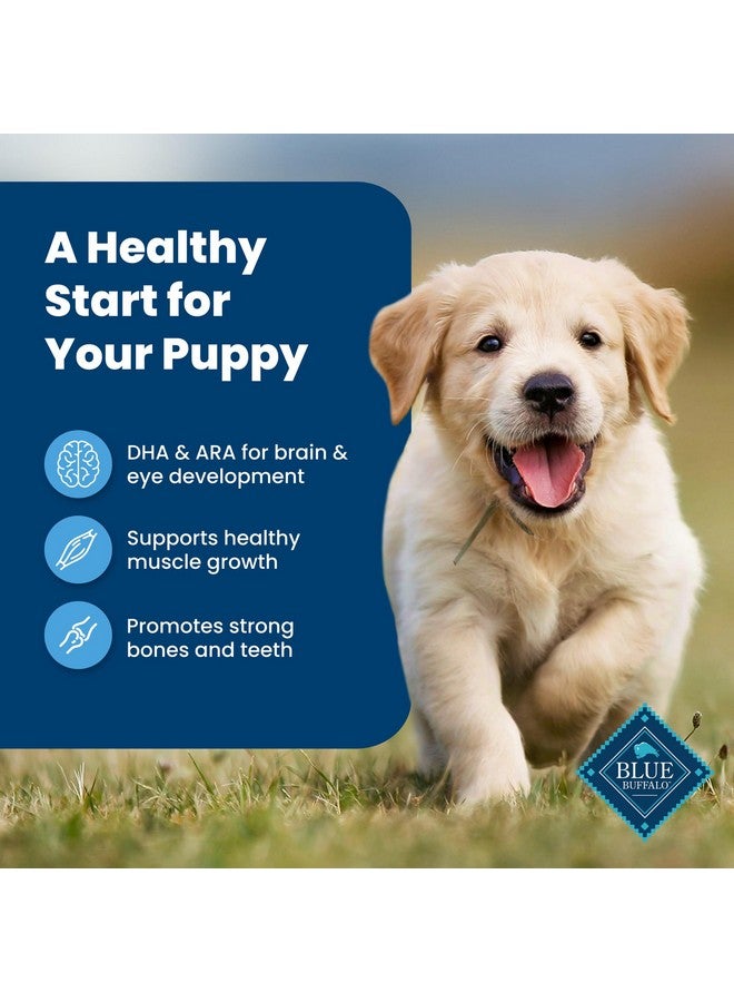 Blue Buffalo Life Protection Formula Puppy Dry Dog Food with DHA and ARA, Made with Natural Ingredients, Chicken & Brown Rice Recipe, 5-lb Bag - Image 4