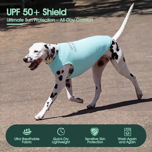 Kuoser 2 Pack Dog Shirts UPF 50 UV Sun Protection Lightweight Quick Dry Dog T Shirts for Small Medium Large Dogs Breathable Pet Vest Dogs Tshirt Pet Clothes for Indoor Outdoor Pink Mint XL - Image 3