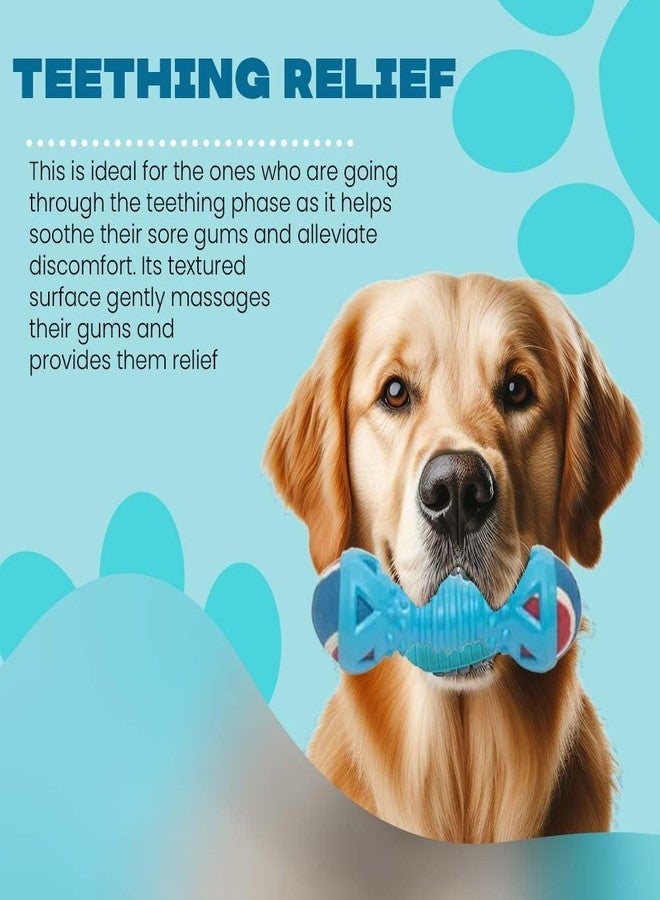 PremiumAV Double Ball Dumbbell Dog Chew Toy for Small & Medium Dogs - Natural Rubber Interactive Teeth Cleaning Toy, Durable Puppy Chew & Molar Toy, Brain Stimulating Play Toy - Image 3