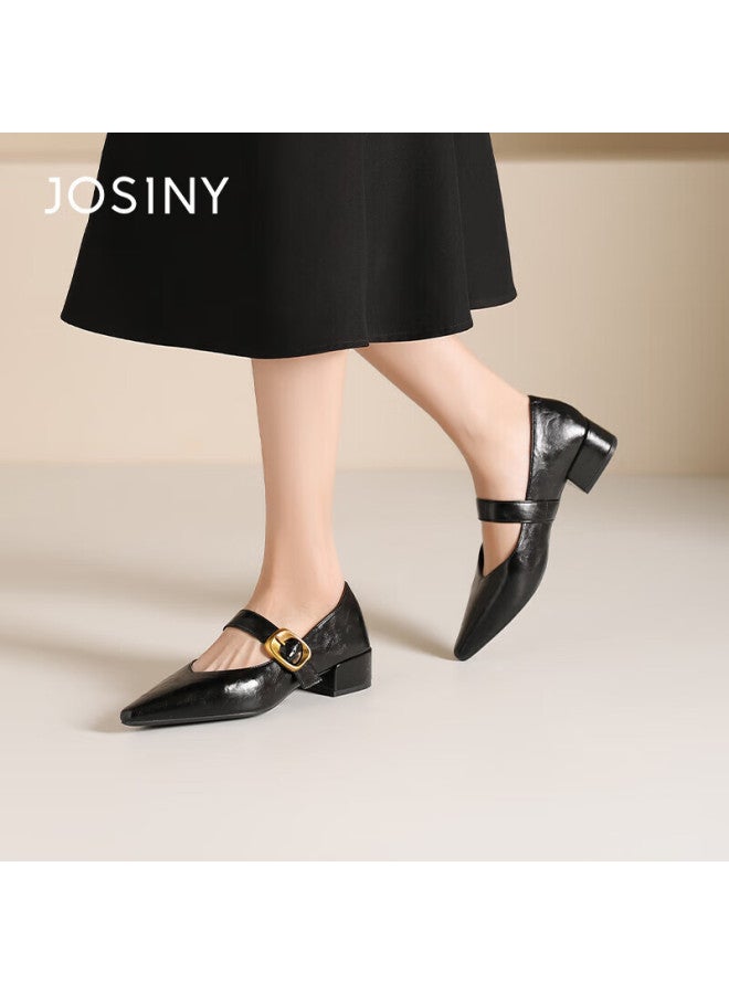 Josiny French High-end Mary Jane Shoes For Women, Spring Buckle Strap Retro Elegant Commuter Pointed Toe Flats, Black, Size 39 - Image 2