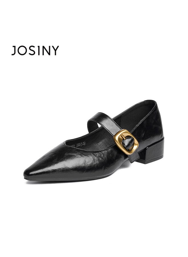 Josiny French High-end Mary Jane Shoes For Women, Spring Buckle Strap Retro Elegant Commuter Pointed Toe Flats, Black, Size 39 - Image 4