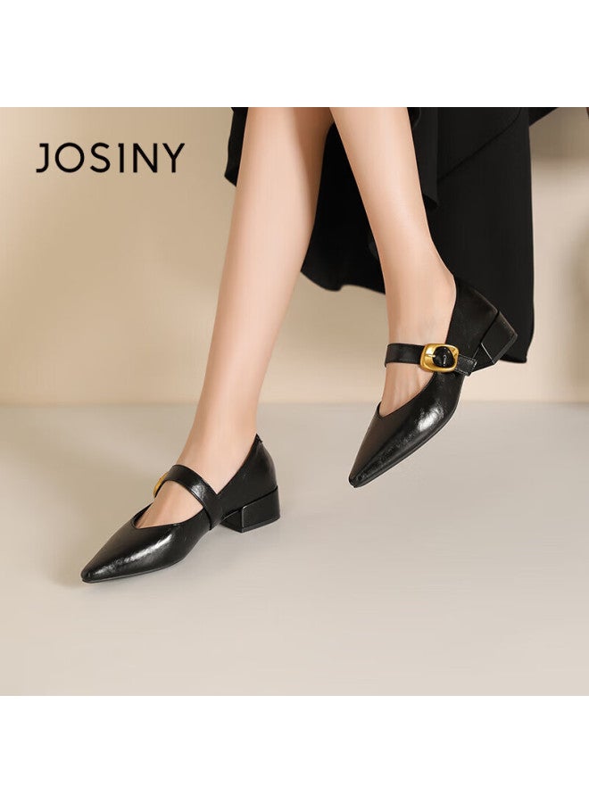 Josiny French High-end Mary Jane Shoes For Women, Spring Buckle Strap Retro Elegant Commuter Pointed Toe Flats, Black, Size 39 - Image 1