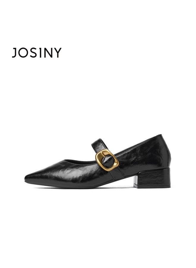 Josiny French High-end Mary Jane Shoes For Women, Spring Buckle Strap Retro Elegant Commuter Pointed Toe Flats, Black, Size 39 - Image 5