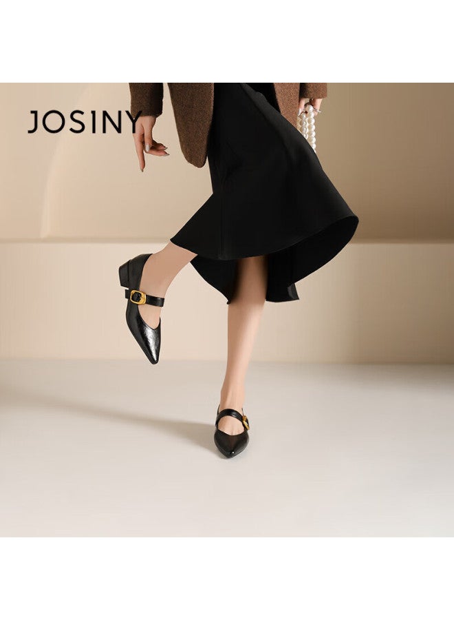 Josiny French High-end Mary Jane Shoes For Women, Spring Buckle Strap Retro Elegant Commuter Pointed Toe Flats, Black, Size 39 - Image 3