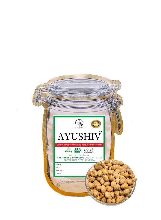Ayushiv PUTRAJEEVAK SEEDS (Putranjiva roxburghii) - putraveeji - putranjiva - Jiyapota (200) - Image 1