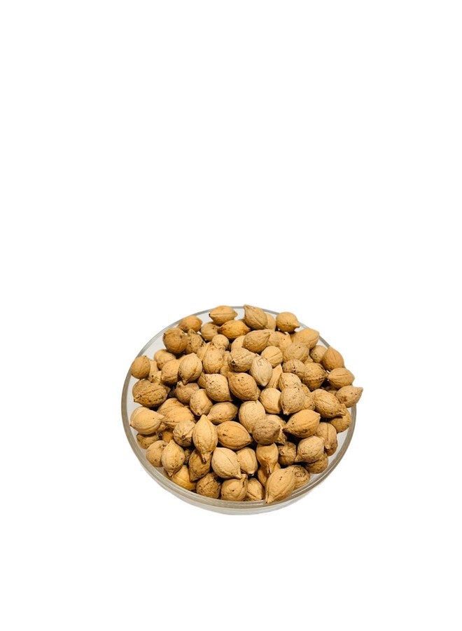 Ayushiv PUTRAJEEVAK SEEDS (Putranjiva roxburghii) - putraveeji - putranjiva - Jiyapota (200) - Image 4