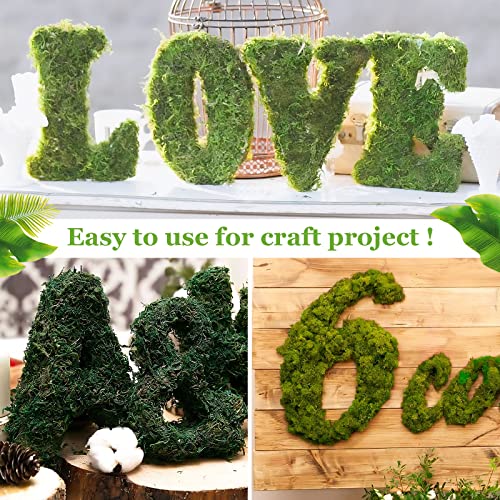 Riare 1.3LBS Artificial Fake Moss for Fake Plants Indoor- Premium Faux Craft Moss for Potted Plant, Fresh Green Moss Forest Moss for Hamsters Micro-Landscape Terrariums Centerpieces Decor - Image 5
