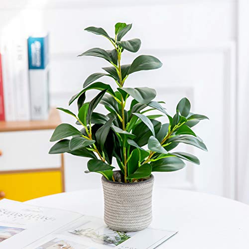 AlphaAcc 16 inch Artificial Indoor Plants Office Desk Faux Plant Peperomia Leaf Ficus Plant Realistic Small Fake Farmhouse Plants for Home Kitchen Bathroom Bedroom Evergreen Decor - Image 1