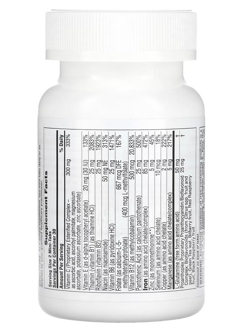 NaturesPlus Hema-Plex, Iron with Essential Nutrients for Healthy Red Blood Cells, 60 Slow Release Mini Tabs - Image 2