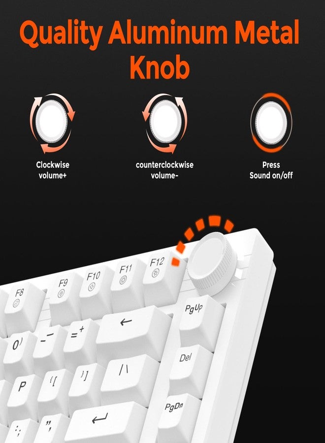 DAREU EK75 Wired Mechanical Keyboard,75% Keyboard with Volume Knob,Gasket Mount Mechanical Gaming Keyboards,81 Keys Rainbow Sidelit,PBT Keycaps,Linear Dream Switch for PC Laptop - White - Image 4