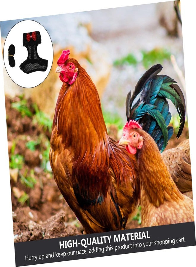 CORHAD 1set Rooster Harness and Leash Outdoor Activities Easy Control Hen Pulling Rope and Chicken Leash Chain for Enjoyable Walks with Your Chicken - Image 4