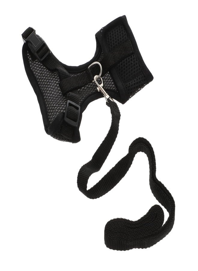 CORHAD 1set Rooster Harness and Leash Outdoor Activities Easy Control Hen Pulling Rope and Chicken Leash Chain for Enjoyable Walks with Your Chicken - Image 1