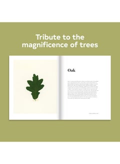 Chronicle Books Forest: Walking among trees