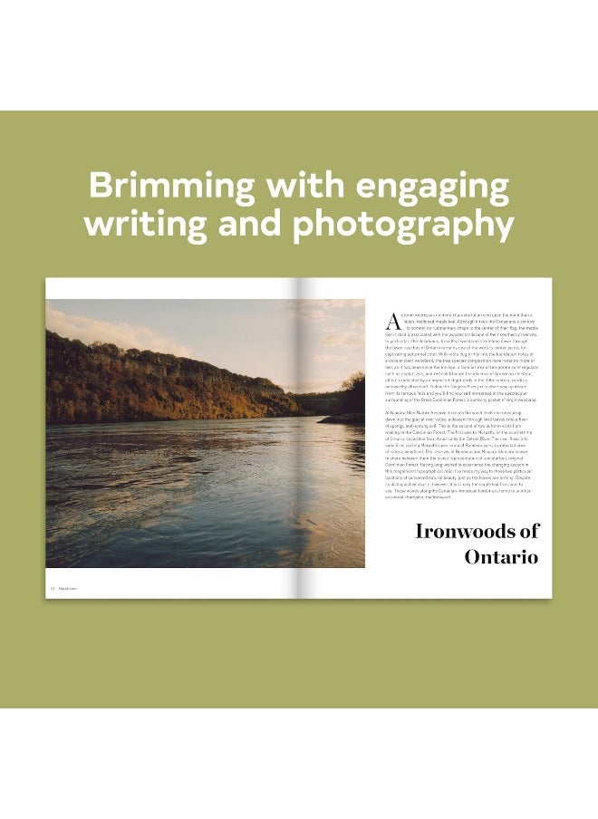 null - Chronicle Books Forest: Walking among trees - Image 1