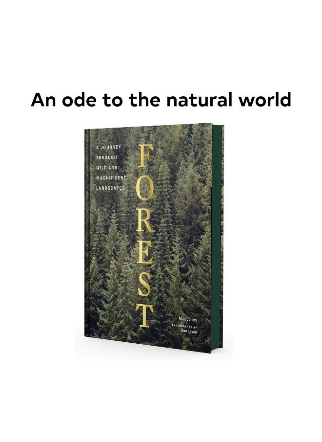 null - Chronicle Books Forest: Walking among trees - Image 1