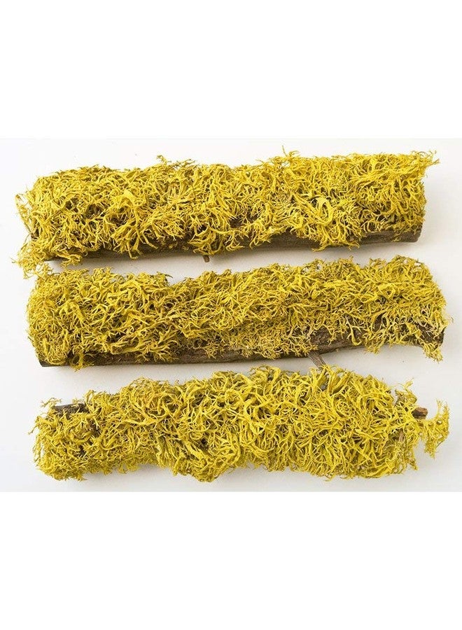 T-Rex Reptiles Terrarium Décor - Terra Accents Lichen Stick - Image 2