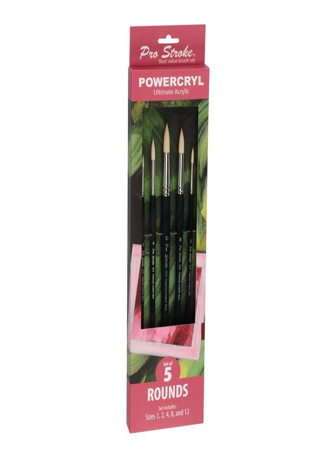 Creative Mark Pro-Stroke Powercryl Acrylic Paint Brushes - Rounds Value Set of 5, Synthetic Paint Brushes for Artists, Seamless Nickel-Plated Ferrules, Matte Black Wooden Handle, Soft-Touch Grip - Image 4