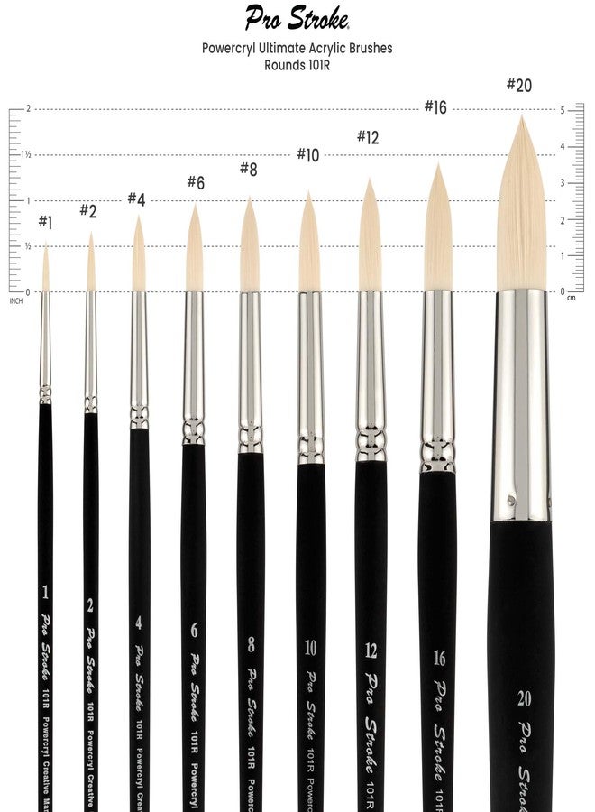 Creative Mark Pro-Stroke Powercryl Acrylic Paint Brushes - Rounds Value Set of 5, Synthetic Paint Brushes for Artists, Seamless Nickel-Plated Ferrules, Matte Black Wooden Handle, Soft-Touch Grip - Image 3