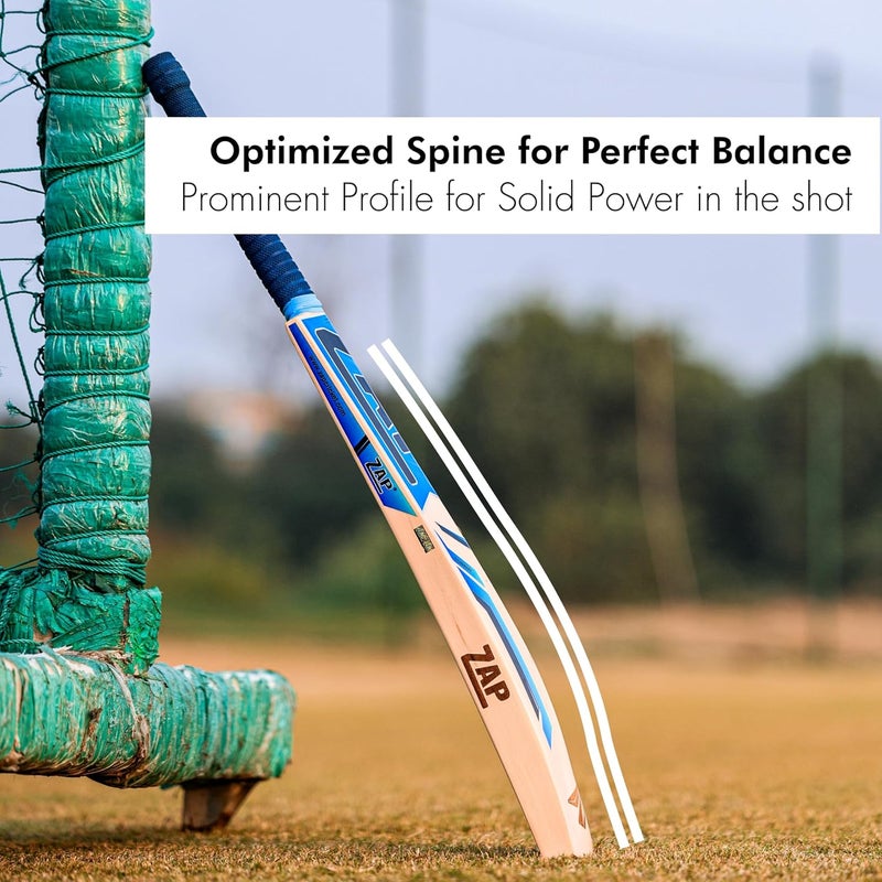 ZAP مضرب كريكيت غلايدر من خشب الكشمير (الحجم -SH - 33.5 بوصة) | تصميم مصنوع يدويًا، توازن ممتاز وتشطيب فاخر للكريكيت بالكرة الجلدية الاحترافية | مثالي للأندية والبطولات - Image 5