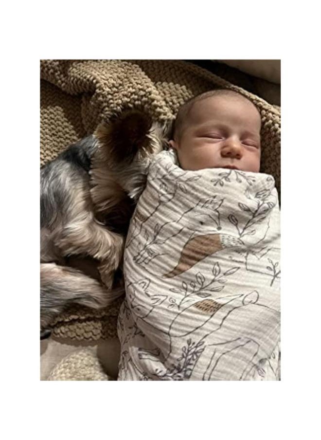 Ezra Single Swaddle Wraps, Woodland - pzsku/ZA3FC288F86C669D0D61FZ/45/_/1734417357/b9b921e5-827a-4510-8df6-6c5180166479