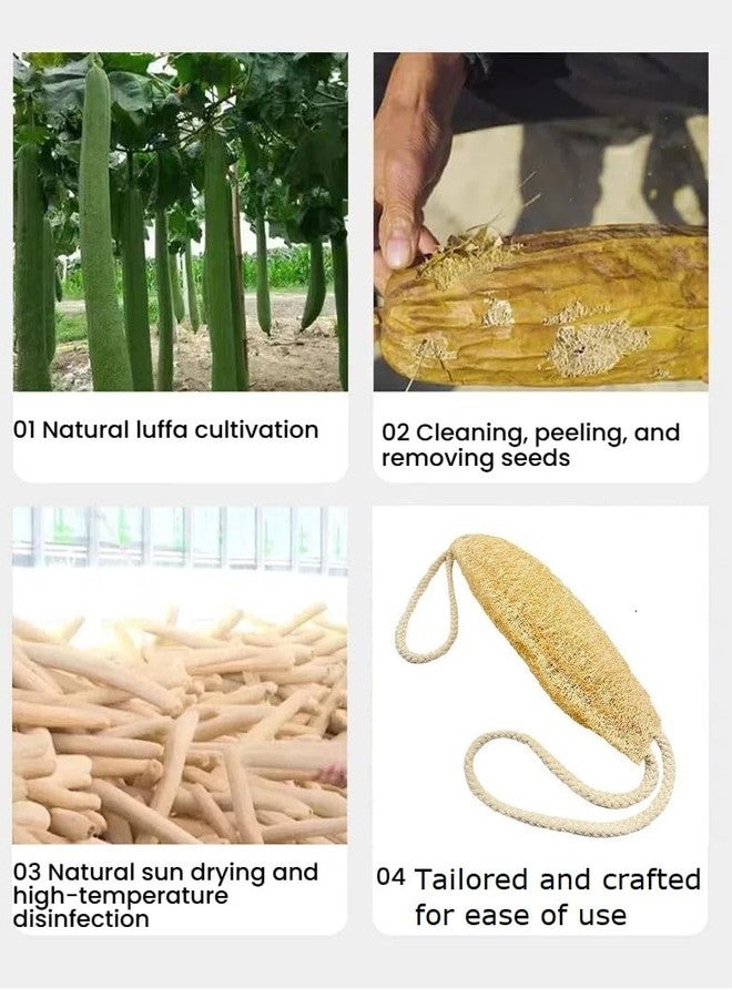 ZENSEWEN Natural Loofah Body Scrubber 100% Plant-Based Exfoliating Washcloth, Handcrafted Gourd with Jute Handle, Gentle Exfoliation for Men & Women, Ideal for Shower - Image 2