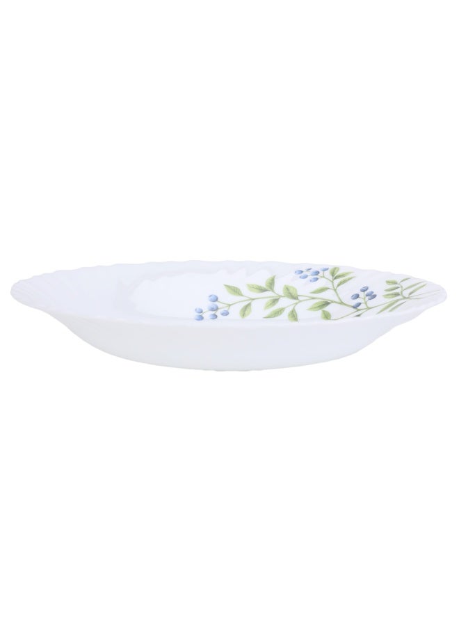 DELCASA طبق شوربة أوبالوير 9 بوصات - DC2823 طبق آمن للاستخدام في الميكروويف - Image 1