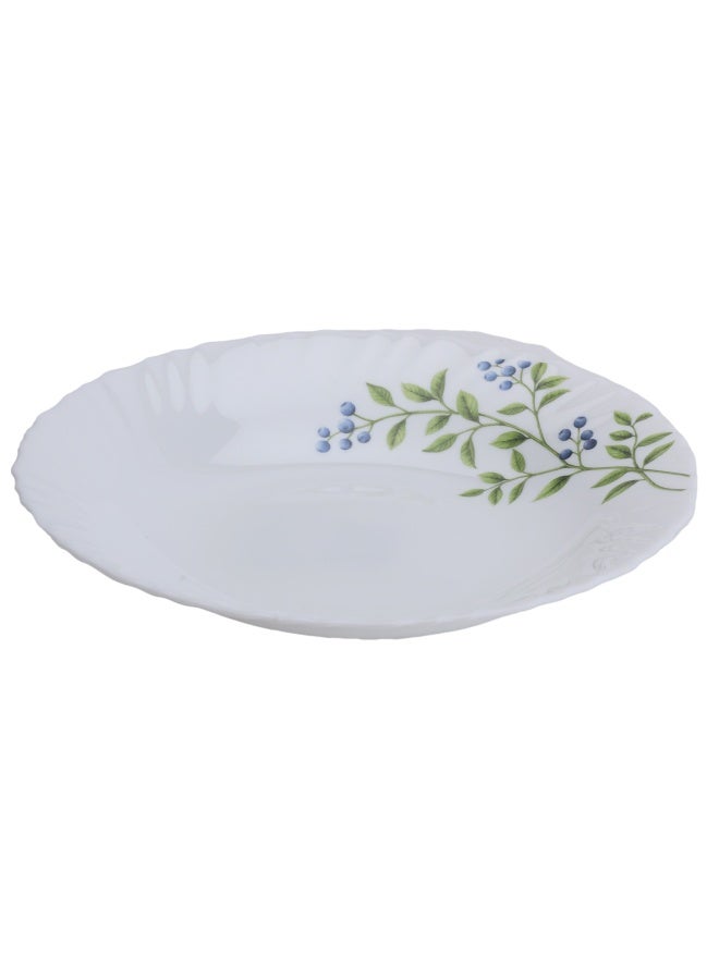 DELCASA طبق شوربة أوبالوير 9 بوصات - DC2823 طبق آمن للاستخدام في الميكروويف - Image 2