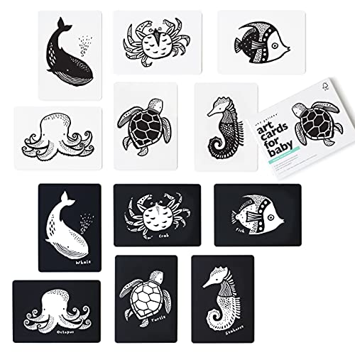 Wee Gallery High Contrast Baby Cards Black and White Cards for Newborns 6 to 12 Months Baby Flash Cards Tummy Time and Visual Stimulation Art Cards Ocean Animals - Image 1