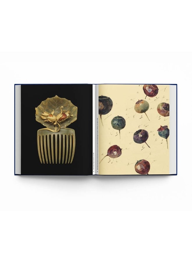 Botanical: Observing Beauty  - Image 4