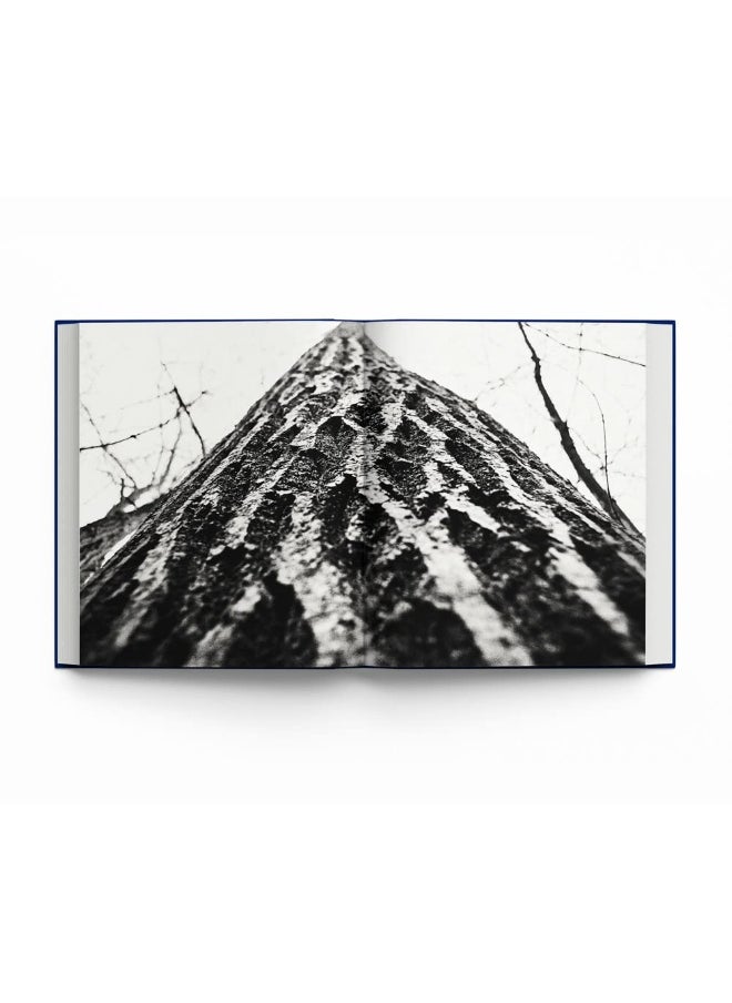 Botanical: Observing Beauty  - Image 2