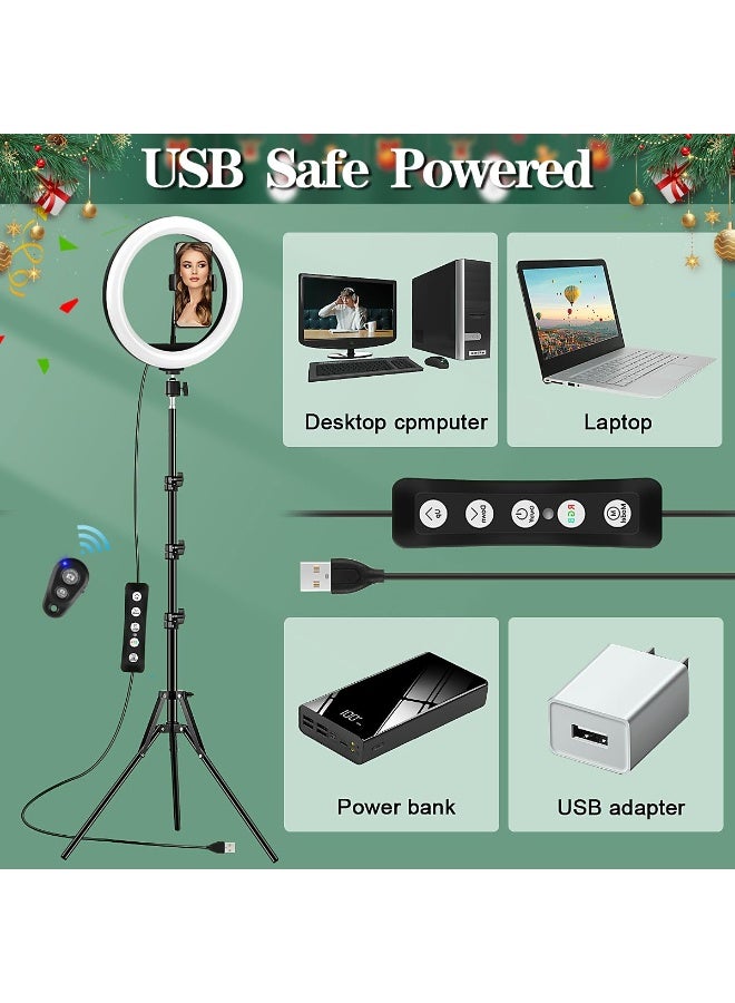 10 inch RGB LED Ring Light with Tripod Stand & Phone Holder, Dimmable for Selfie, Video & Live Streaming - Image 5