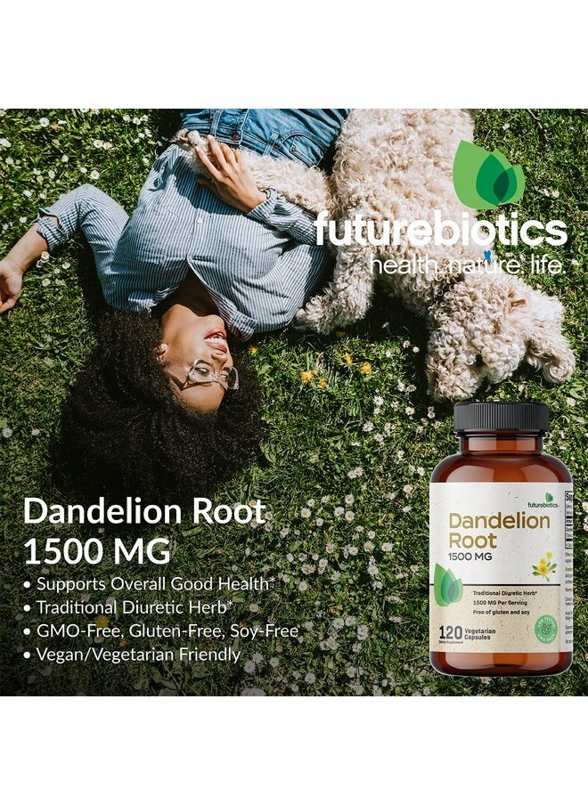 Dandelion Root 1500 Mg Per Serving Tradional Diuretic Herb Nongmo 120 Vegetarian Capsules - pzsku/ZA40434DE7BF551252D12Z/45/_/1695134216/e6996fc0-3c75-46a5-911e-3feef410cbc6