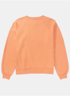 American Eagle AE Crew Neck Sweatshirt  - Image 2