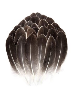 KASTWAVE 100PCS Natural Goose Feathers Decoration Assorted Colorful 6-8 inch Feather for DIY Crafts Festival Erikord(Brown)  - Image 1