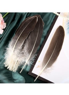 KASTWAVE 100PCS Natural Goose Feathers Decoration Assorted Colorful 6-8 inch Feather for DIY Crafts Festival Erikord(Brown)  - Image 4
