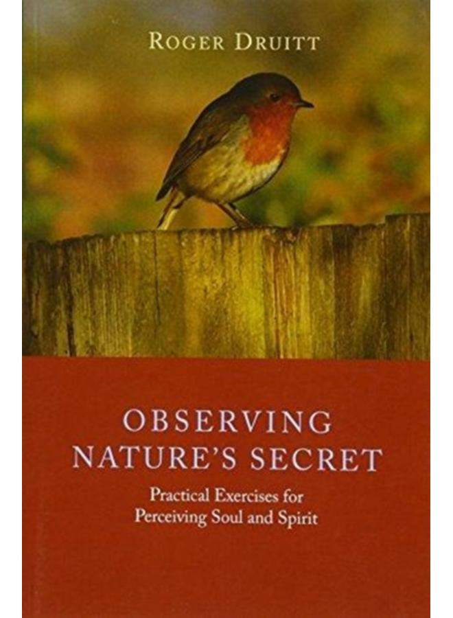 Observing Nature's Secret : Practical Exercises for Perceiving Soul and Spirit 