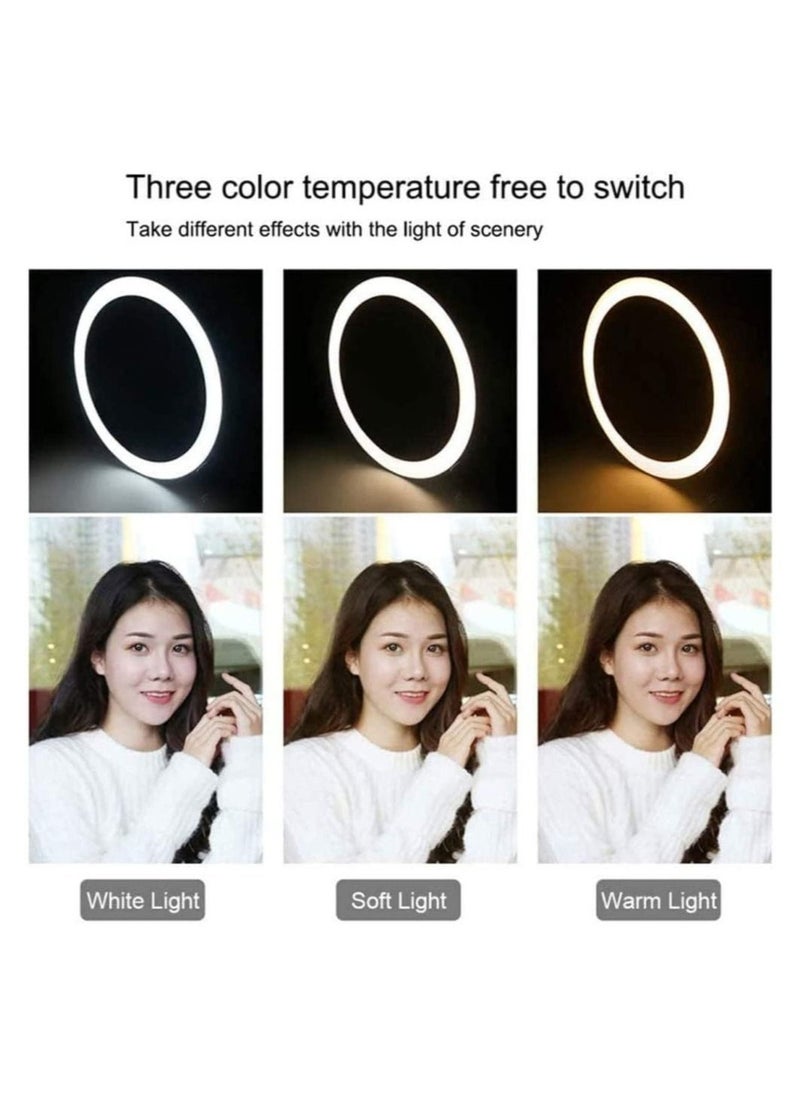 ELTRAZONE 10 Inch Selfie Ring Light with 210CM Tripod & Cell Phone Holder & Bluetooth Remote Shutter for Live Stream, YouTube Video, Makeup  - Image 2