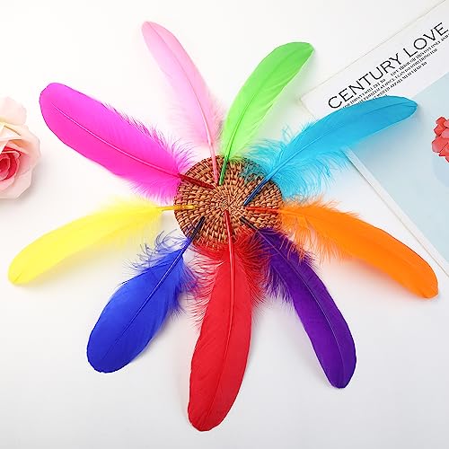 Ballinger Colorful Goose Feathers for Crafts - 120Pcs 6-8inch Craft Colored Feathers for DIY Crafts,Angel Wings,Dream Catcher and Wedding Party Decor - Image 4