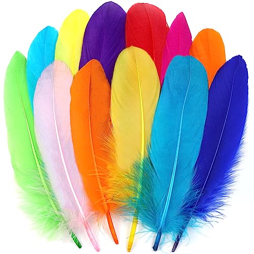 Ballinger Colorful Goose Feathers for Crafts - 120Pcs 6-8inch Craft Colored Feathers for DIY Crafts,Angel Wings,Dream Catcher and Wedding Party Decor - Image 1