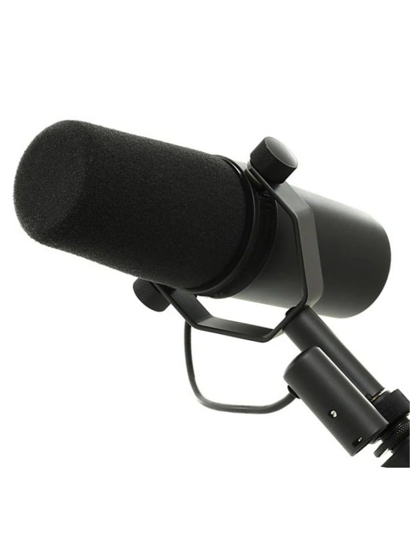 Professional Dynamic Microphone, Cardioid Dynamic Microphone Studio Selectable Frequency Response Microphone for Live Stage Recording Podcasting  - Image 2