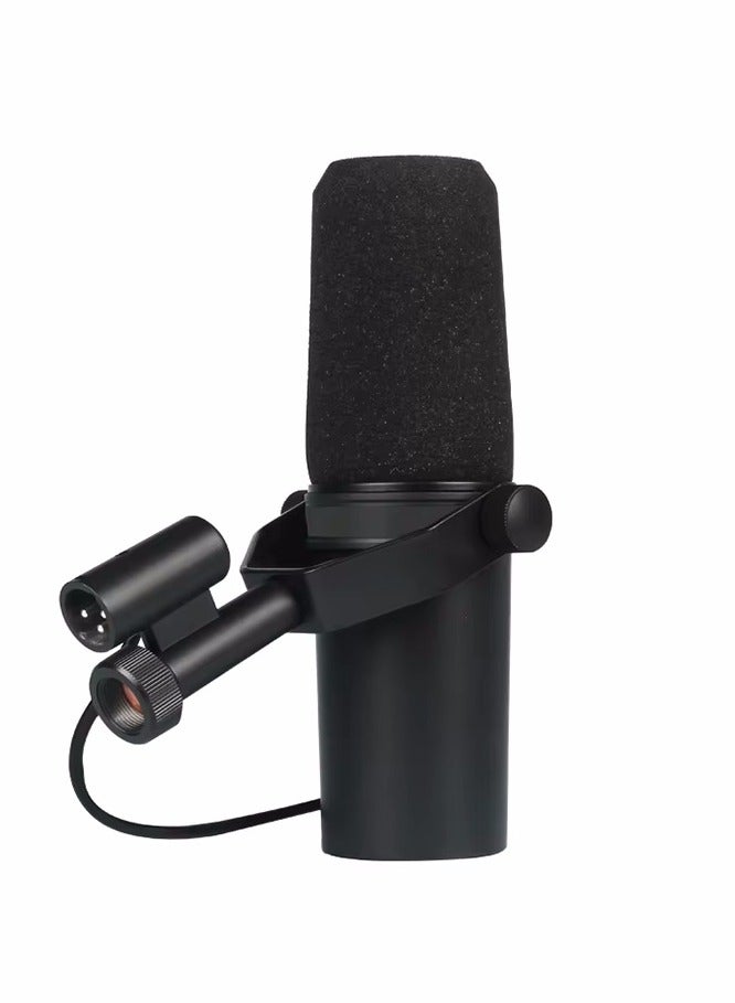 Professional Dynamic Microphone, Cardioid Dynamic Microphone Studio Selectable Frequency Response Microphone for Live Stage Recording Podcasting  - Image 1