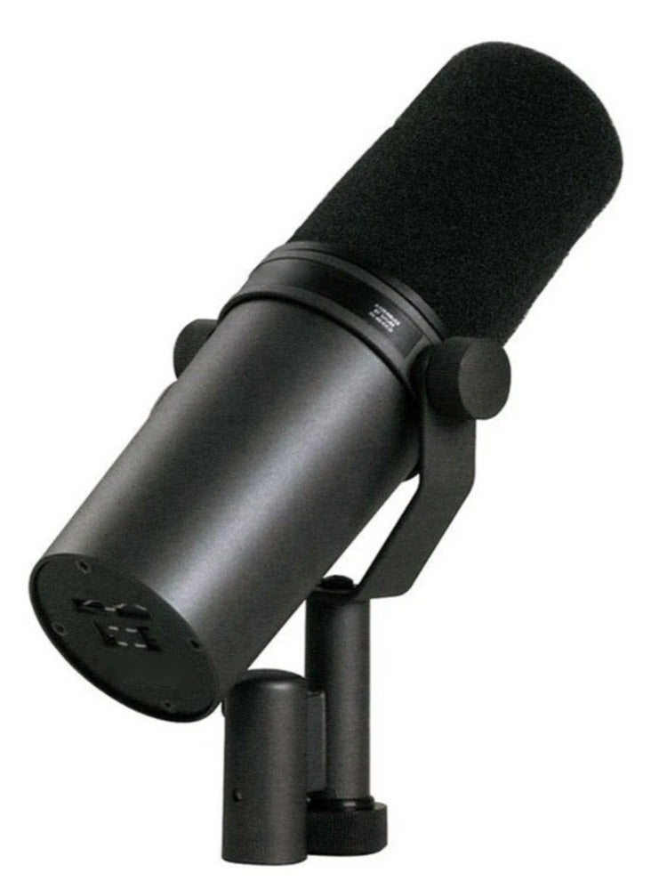 Professional Dynamic Microphone, Cardioid Dynamic Microphone Studio Selectable Frequency Response Microphone for Live Stage Recording Podcasting  - Image 3