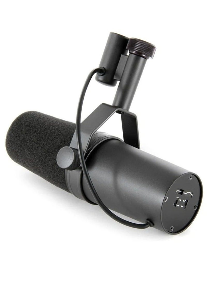 Professional Dynamic Microphone, Cardioid Dynamic Microphone Studio Selectable Frequency Response Microphone for Live Stage Recording Podcasting  - Image 4