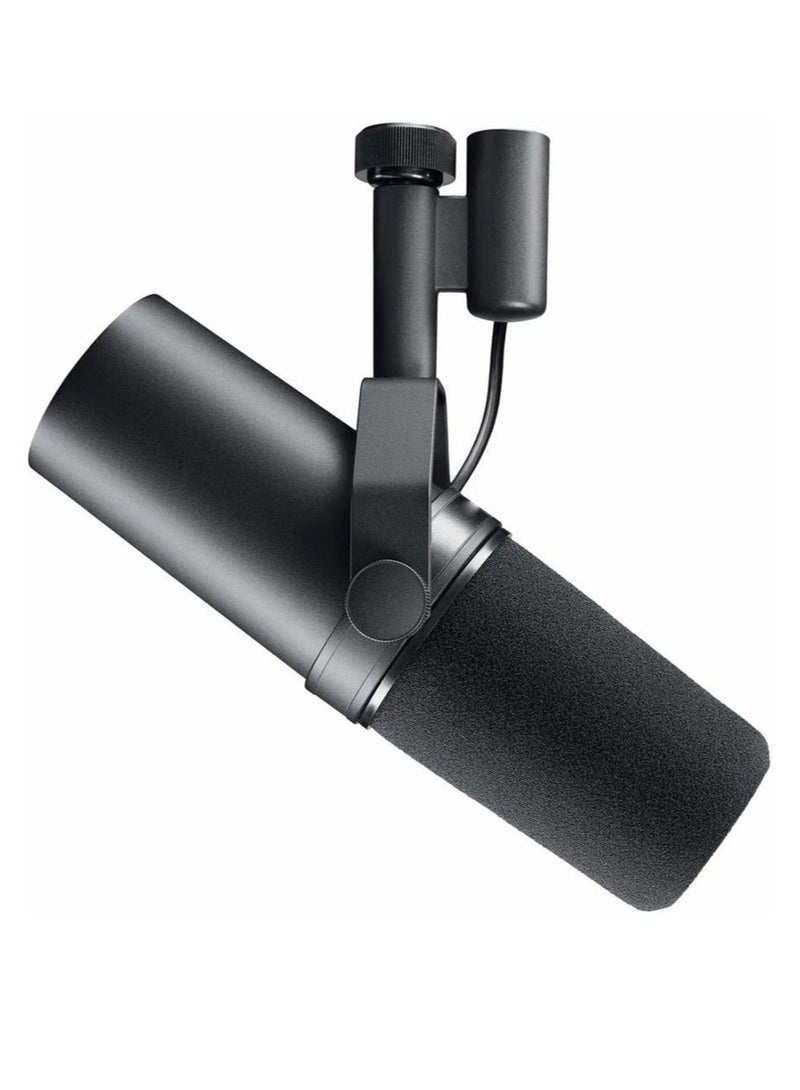 Professional Dynamic Microphone, Cardioid Dynamic Microphone Studio Selectable Frequency Response Microphone for Live Stage Recording Podcasting  - Image 5