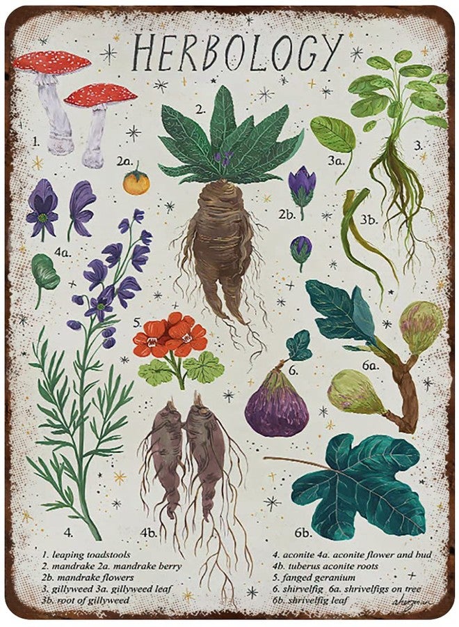 Mocozim Rustic Retro Metal Tin Sign Herbology Poster Plant Magic Home Decor Wall Art Vintage Tin Sign Country Home Decor for Living Room,Kitchen,Farm Decoration 8X12Inch - Image 1
