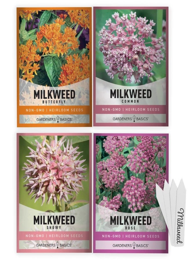 Gardeners Basics بذور نبات الصقلاب الأساسية لجذب فراشات الملك (عبوة من 4 أنواع) - أنواع شائعة، وأنواع زاهية، وأنواع خاصة بالفراشات، وأنواع خاصة بالورود - تجذب الفراشات والنحل والملقحات - بذور زهور برية تراثية - Image 1