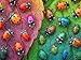 Cross & Glory Cross Glory The Ladybug Rainbow 1000 Piece Jigsaw Puzzle for Adults Vibrant Nature Puzzle Colorful and Relaxing Puzzle Challenge - Image 2