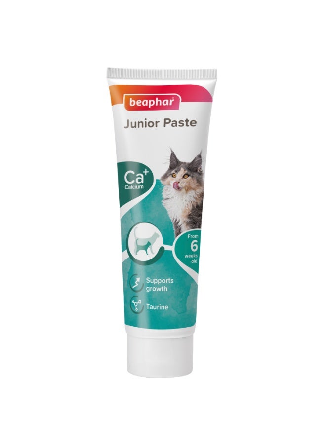 بيفار معجون جونيور للقطط 100 جرام - Image 1