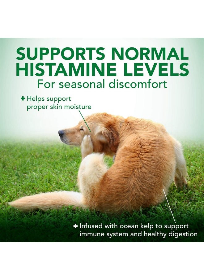 Vet's Best Seasonal Allergy Soft Chew Dog Supplements | Soothes Dogs Skin Irritation Due to Seasonal Allergies | Maintain Histamine Levels | 90 Day Supply - pzsku/ZA40883187E7C1828E8D6Z/45/_/1737031975/c38d5ca5-61c9-4d4a-b973-a9166735f733